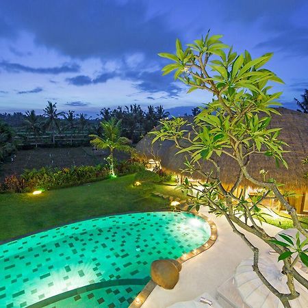 Villa Omah Padi Ubud Exteriör bild